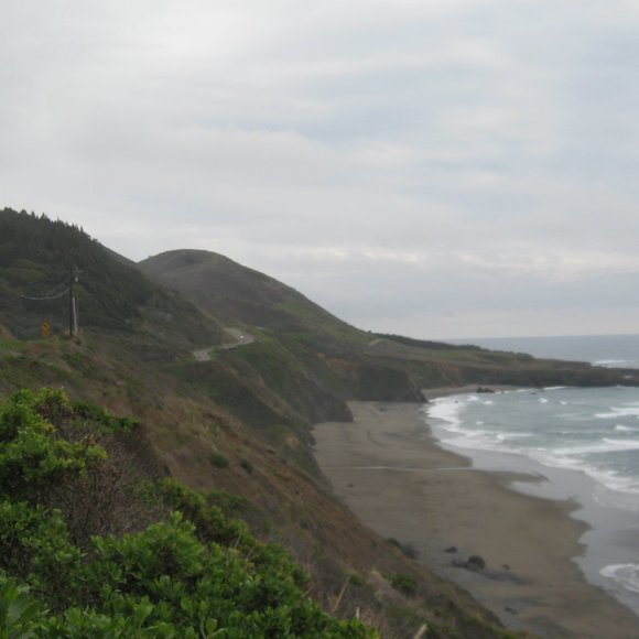 Meet your Posher, Sheree - Picture 3 of 9